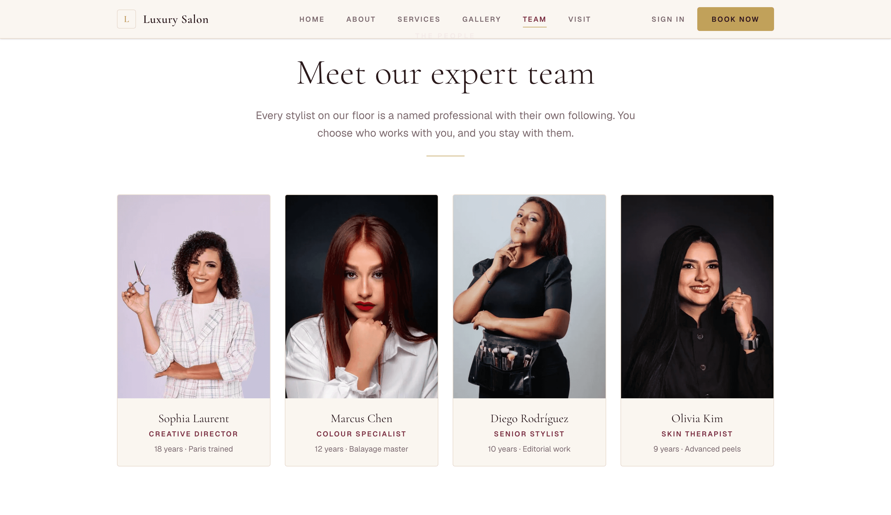 Salon website preview