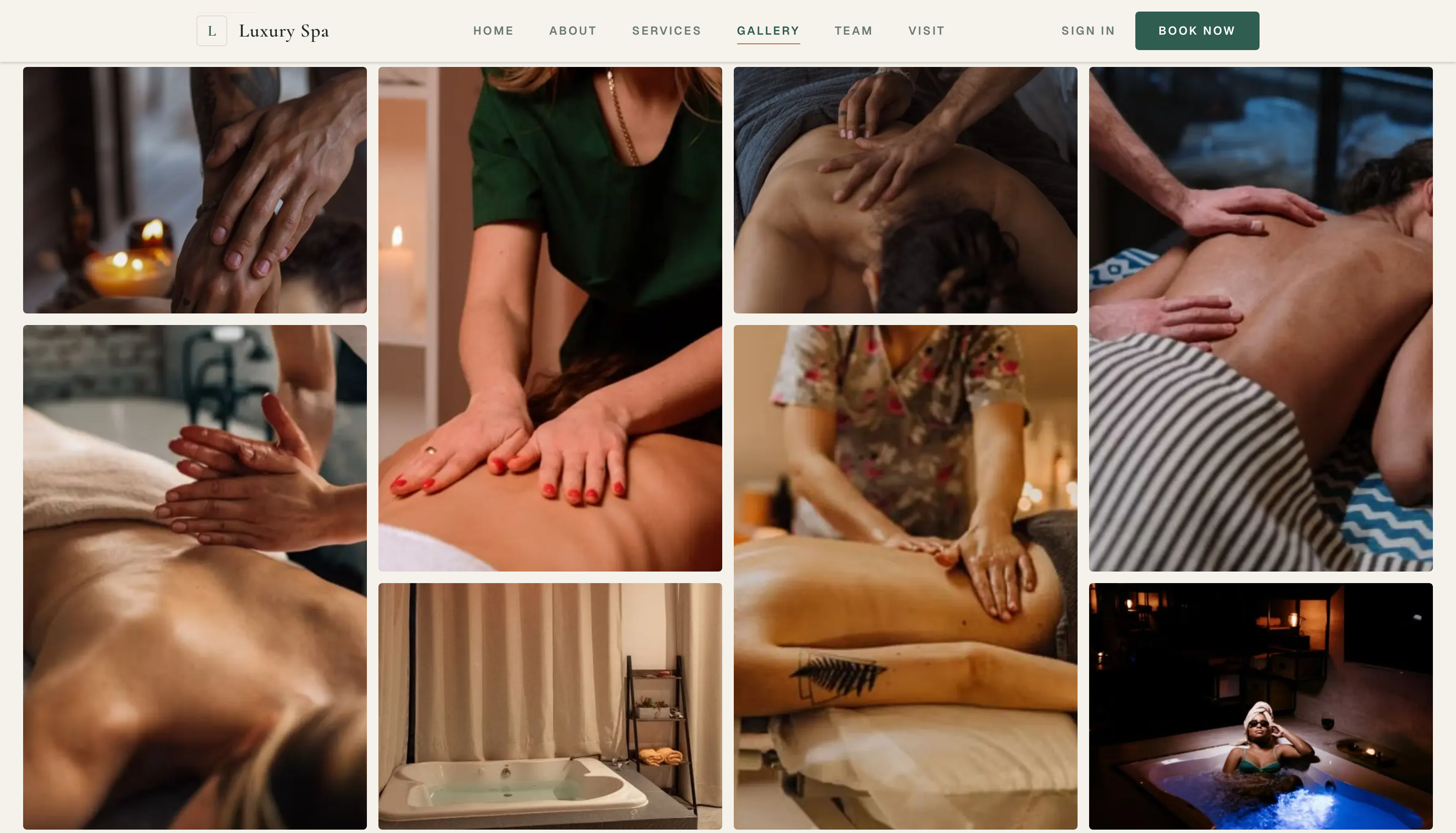 Spa website preview